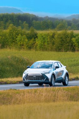 Güvenilir 4x4 araç doğal arazide ilerliyor.