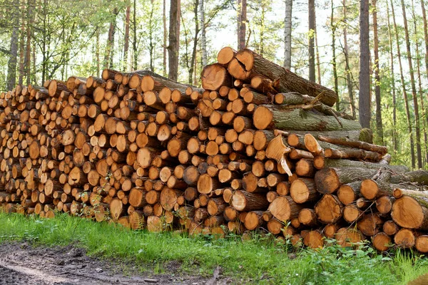 Açık havada istiflenmiş tahta kütükler.