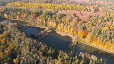Göllü sonbahar ormanlarının havadan görünüşü