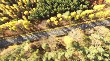 Kırsal yol orman ve tarlalardan geçiyor.