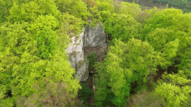 Ağaç tepe örtüsü büyük kaya kayalıklarını gizler