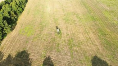 Ormanın yakınında avlanmak için yüksek bir yer.