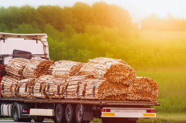Tahta istiflenmiş kereste endüstrisi kamyonu