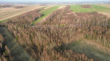 Yukarıdan mevsimlik orman manzarası