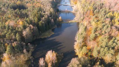 Orman ve göllerin havadan sonbahar manzarası