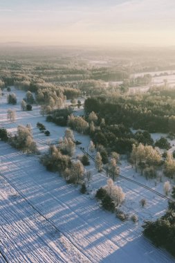 Açık hava orman macerası için mükemmel bir kış günü.