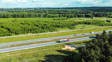 Yoldan geçen araçlarla yemyeşil orman yolu