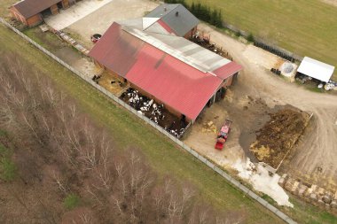 İneklerin ve traktörlerin olduğu taşra çiftliği
