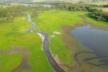 Natural environment with lake and tranquil shore