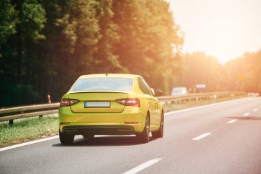 Sarı araba orman yolunda hız yapıyor.