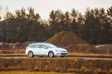 Araba sürüşü ile orman geçmişi