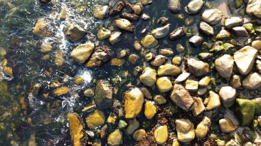 Deniz yosunlarıyla kaplı plaj kayalarıyla sığ su