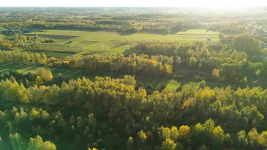 Toprağı sürülmüş ve çimleri yeşil tarım arazisi.