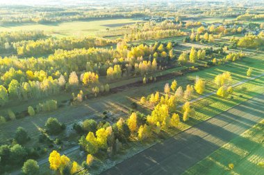 Parlayan devrilen ağaçlarla geniş kırsal arazi