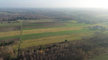 Sonbahar ormanı ve tarım arazisi