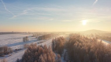 Soğuk bir kış günü ağaçlarda kırağı biriktirirken