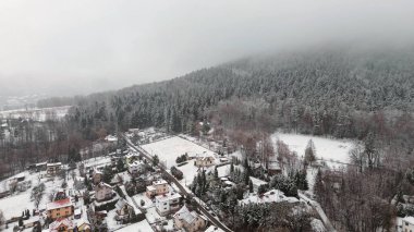 Karla kaplı ağaçlar ve vadiyle kış manzarası