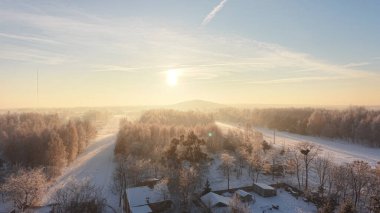 Donmuş kış manzarası Işıl ışıl ağaçlarla
