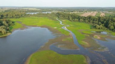 Ormanın yakınındaki bir gölün doğal güzelliği.