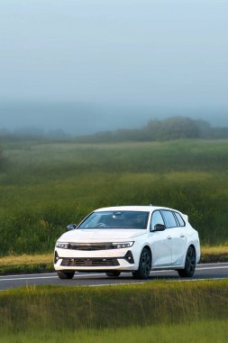 Doğada asfalt bir yolda araba.