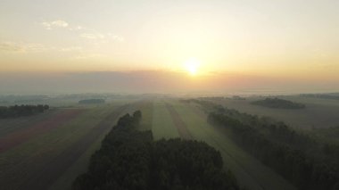 Renkli sonbahar ormanı ve tarlaları üzerinde gün doğumu sisi