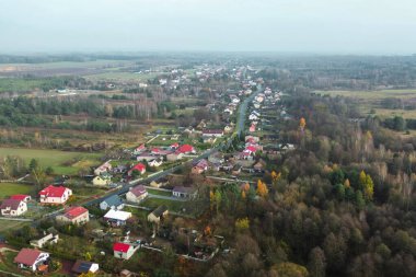 Sakin kırsalda canlı sarı ve portakal ağaçları