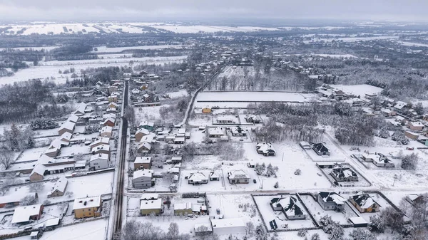 Kış manzarasında ağaçların arasında küçük evler