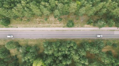 Hareket eden araçlarla ormanda virajlı bir yol