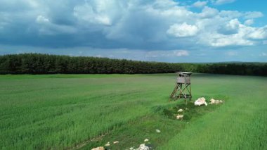 Tarlalarda vahşi yaşamı izlemek için ahşap platform