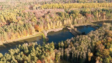 Sonbahar ormanı ve su üzerindeki drone görüntüsü
