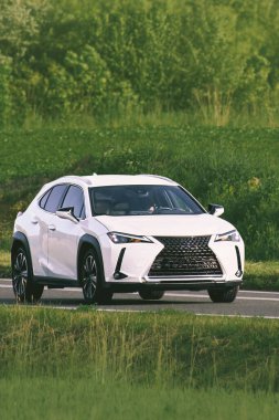 Araç asfalt kırsalında sorunsuz gidiyor.