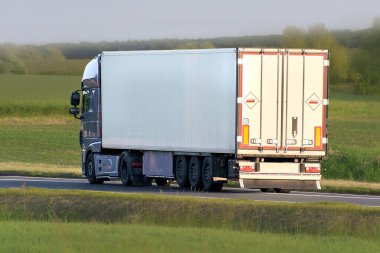 Orman yolundan geçen beyaz nakliye kamyonu.