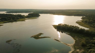 Rahatlatıcı göl manzarası Orman ve açık gökyüzü