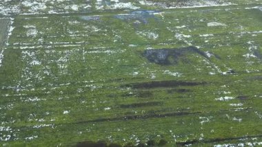 Islak tarımsal çayır yüzeyinde sabah donması