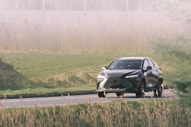 Çağdaş arazi aracı yeşil alana yakın sürüyor.