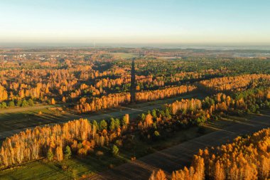 yeşil tarım alanlarının ve ağaçların havadan görünüşü