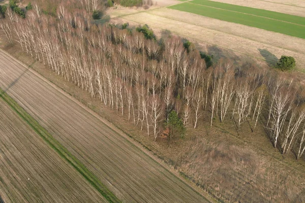 Kırsal ormanlık alanın üst görünümü