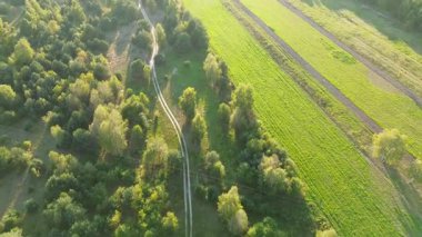 Sonbahar büyümesi ve bitki örtüsüyle geniş kırsal alanlar