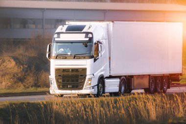 Kargo taşıyan beyaz yük kamyonu.