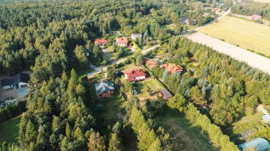 Evin ve yeşil ormanın havadan görünüşü.
