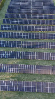 Yeşil arazide büyük dikey güneş çiftliği