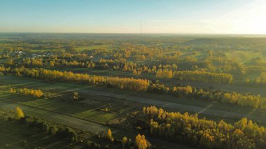 Tarım tarlaları ve orman üzerinde güneşli bir sonbahar günü