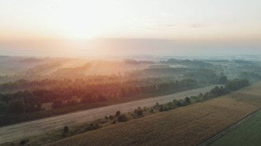 Sonbahar renkleriyle büyüleyici sisli manzara