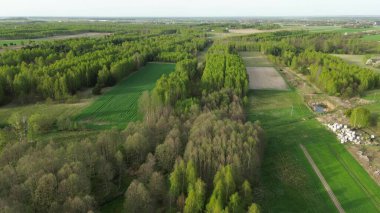 Vahşi doğa, dünyayı mı simgeliyor? Bu iklim dengesi