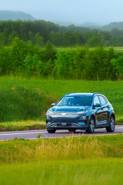 Yaz gezisi sırasında elektrikli SUV sürücüsü