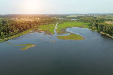 Green grass growing on dry lake bed