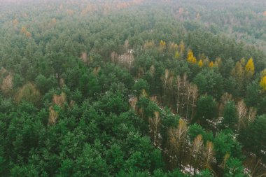 Kış ormanları ve açık alanlar bir dron tarafından ele geçirildi.