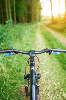 Dağ bisikletçisi orman arazisinde geziniyor.