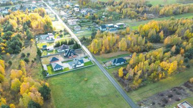 Kırsal araziyi kaplayan altın sonbahar ağaçları