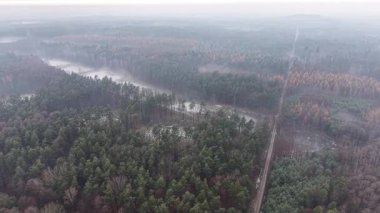 Yeşil çamlar ve yapraksız ağaçlarla kaplı kış manzarası